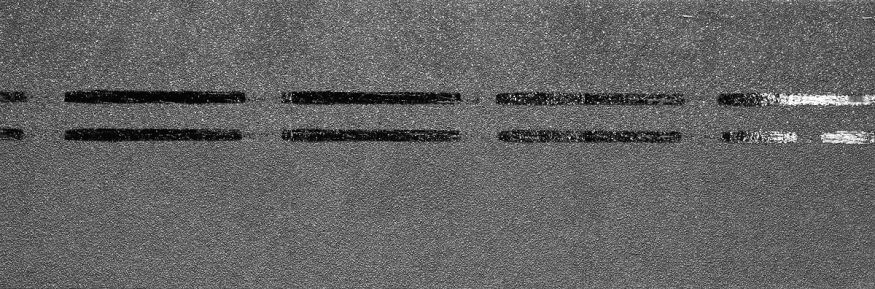 Коньково-карнизная черепица Docke, Premium, Черника купить в Нижнем Новгороде